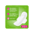 Absorvente Ladysoft Normal Com Abas Com 8 Unidades - Imagem 2