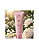 Loção Hidratante Corporal Stella Dustin Radiant Aura 236ml - Imagem 2