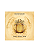 Women’Secret Gold Seduction Eau de Parfum 100ml - Imagem 3