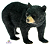 Urso - Imagem 1