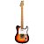 Guitarra Tagima TW-55 Serie Woodstock SB Sunburst - Imagem 1