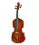 Violino Eagle VE144 4/4 Rajado Envernizado com Estojo - Imagem 2
