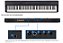 Piano Digital CASIO Cdp-S160 Stage Piano 88 Teclas Black - Imagem 2