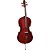 Violoncelo Eagle CE200 4/4 Cello com Capa - Imagem 3