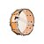 Caixa Bateria Michael PGM1465 14x6,5 Powergate Snare Maple NTS - Imagem 4