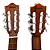 Violão Acustico Giannini Trovador NTR1 Nylon Natural Satin - Imagem 3
