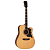 Violão Michael Eletrico Freebird VMF440 Satin Top - Imagem 1
