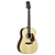 Violão Acústico Takamine GD10 Natural Satin – Sonoridade e Estilo Elegante - Imagem 1