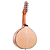 Bandolim Rozini Signature Hamilton Holanda RB25.AC.HH 10C - Imagem 2