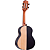 Cavaco Rozini Eletrico RC17.AT.F Fosco Fishman Presys II - Imagem 2