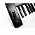 Teclado Sintetizador Eletronico Pegasus P222 61 teclas Preto * - Imagem 3