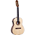 Viola Rozini Eletrica Signature Inezita Barroso RV192.FPP.N.IB - Imagem 2