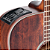 Violão Takamine Eletroacustico GD21CE Satin Molasses Fosco TP3G - Imagem 3