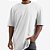 Camiseta 100% Algodão Fio 30.1 Oversized Lisa - Imagem 2
