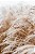 Conjunto com 2 Quadros FineArt Flor Cortaderia Selloana - Imagem 3