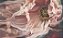 Quadro FineArt Floral Rosa - Imagem 2