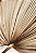 Conjunto com 2 Quadros FineArt Folha de Palmeira Seca - Imagem 2