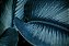 Quadro FineArt Folhas em Azul - Imagem 2