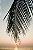Quadro FineArt Galho de Coqueiro Tropical - Imagem 2