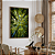 Quadro FineArt Fotografia da Floresta de Ângulo Baixo - Imagem 1