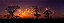 Quadro FineArt Panorâmica Silhueta de Árvore com Pôr do Sol na África - Imagem 2