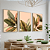 Conjunto com 3 quadros FineArt Botânicos Abstratos com Folhas Grandes - Imagem 1