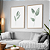 Conjunto com 2 quadros FineArt Abstrato com Forma Botânica de Folhagem - Imagem 1