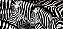 Quadro FineArt Conjunto de Zebras em Preto e Branco - Imagem 2