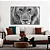 Quadro FineArt Olhar Feroz de um Leão do Atlas - Imagem 1