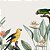 Conjunto com 2 quadros FineArt Ilustração Tropical com Pássaros - Imagem 2