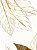 Conjunto de 3 Quadros FineArt Flores Abstratas em Dourado - Imagem 4