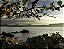 BORBA_0009 - Imagem 2