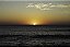 BORBA_0011 - Imagem 2