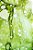 Conjunto com 3 quadros FineArt Abstrato com Manchas de Tinta Jardim de Cores - Imagem 2