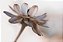 Quadro FineArt de Flor Suave Delicada - Imagem 2