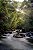 BORBA_0033 - Imagem 2