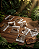 Kuripe Simples Acabamento Premium - Imagem 1