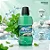 ENXAGUATÓRIO BUCAL REFRESH MENTA 250ML - Imagem 2