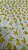 Tule bordado 3D  borboleta amarelo-1,30 cm -larg. - Imagem 1