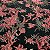 Tecido Jacquard Bordado com Relevo Floral - Imagem 3