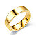 ALIANÇA AÇO DOURADA - Imagem 1