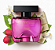 COFFEE WOMAN SEDUCTION DESODORANTE COLONIA 100ML - Imagem 2