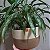 Cachepot | Vaso Decorativo 23cm x 15cm - Imagem 3