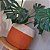 Cachepot | Vaso Decorativo 30cm x 25cm - Imagem 1
