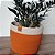 Cachepot | Vaso Decorativo 25cm x 20cm - Imagem 1