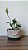 Cachepot | Vaso Decorativo 23cm x 15cm - Imagem 3