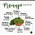 Chá de Moringa em Pó 100% Pura - Sem Conservantes - Imagem 3
