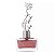 DECIDUOUS SPRING AURORA SCENTS 100ML - Imagem 2