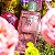 DEO COLÔNIA FEM CICLO ROSA DAMASCENA 100ml - Imagem 3