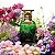 MYSTIQUE BOUQUET EDP Insp.Olfativa Valaya AFNAN 80ml - Imagem 3